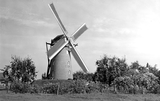 PZ AN 014 Westmalle (Antw.)